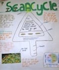 Food Waste prevention - ScanCycle